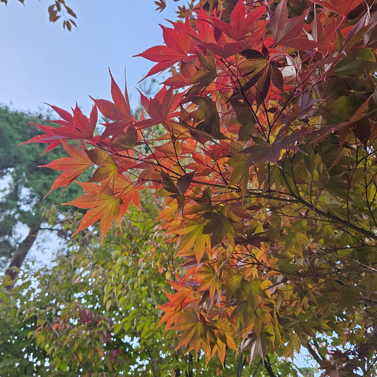 산책하다가