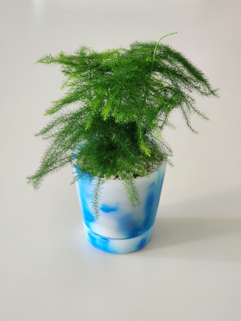 친환경 화분