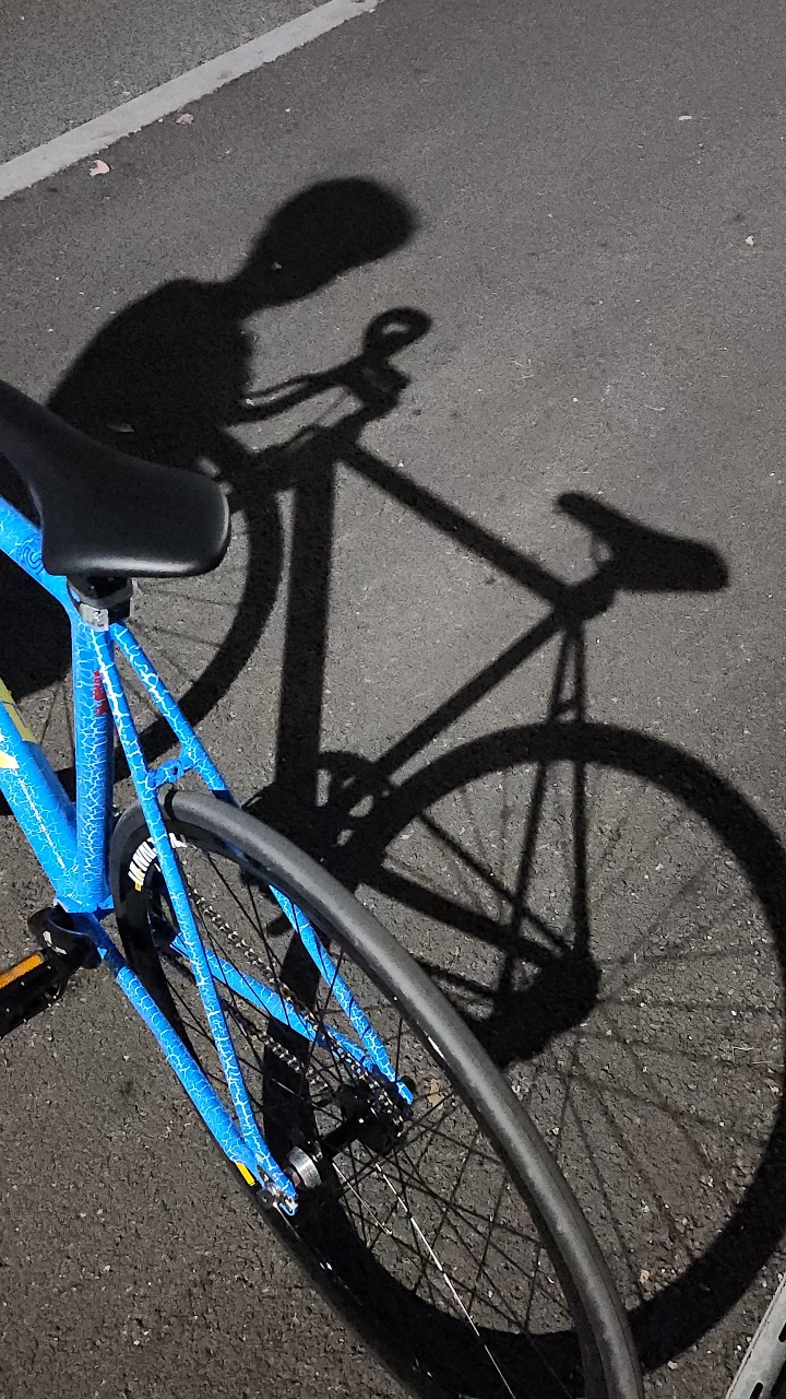 자전거 도둑 🚲 