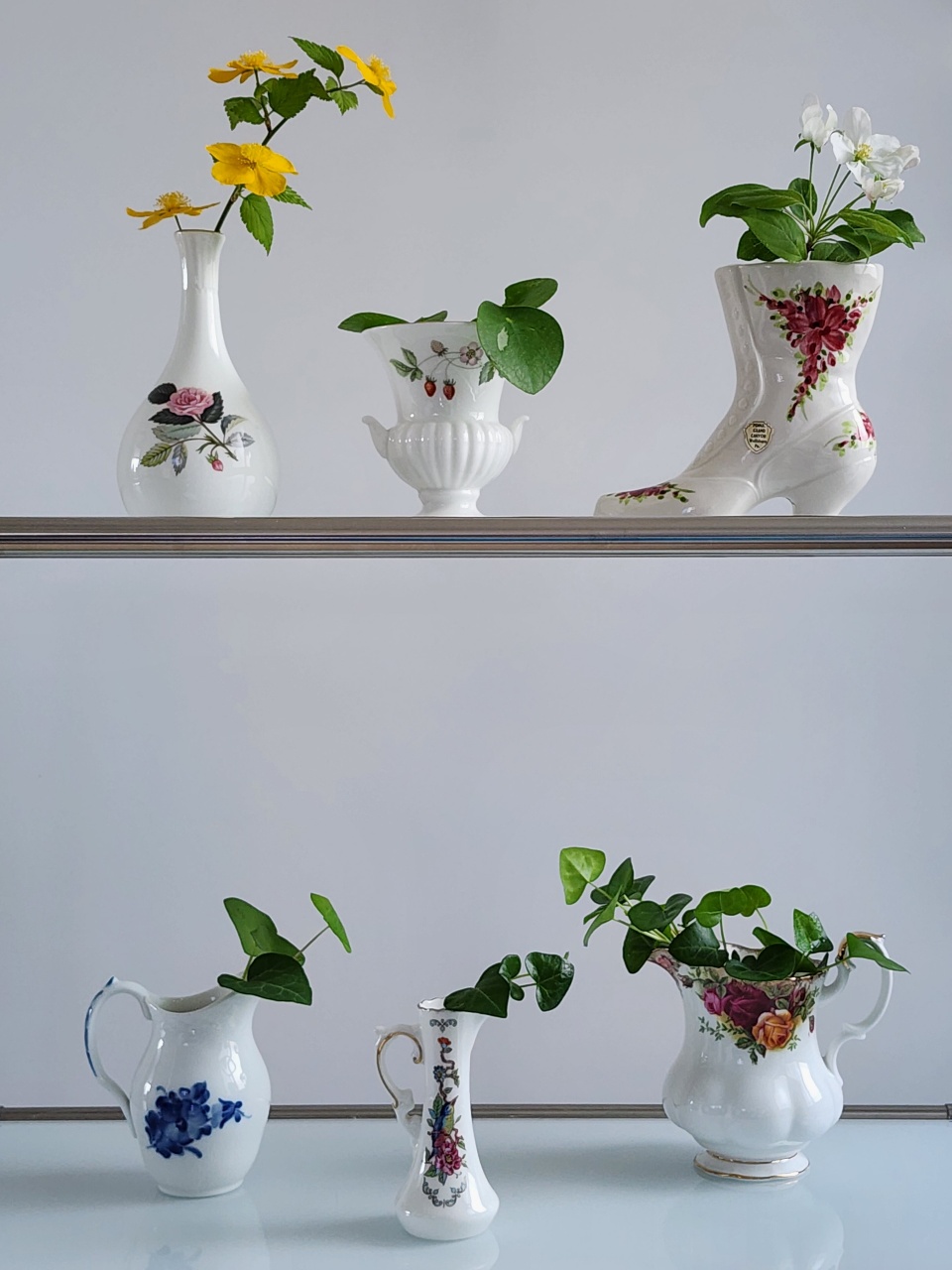 수경 식물 🌱