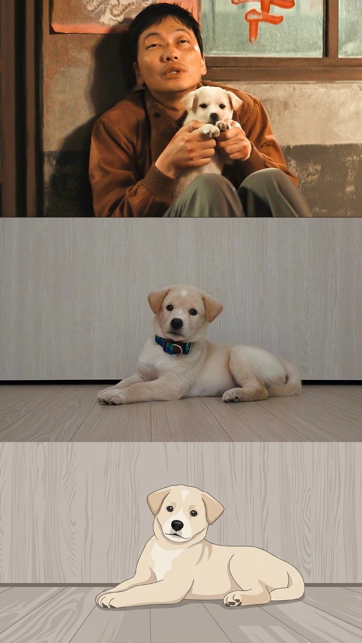 우리 하피 🐶 마이.zip 🐶