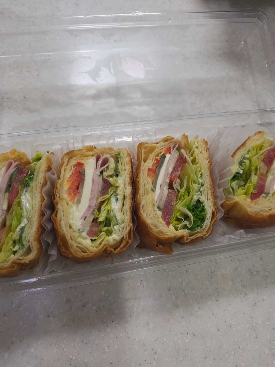 투명 용기에 담긴 샌드위치