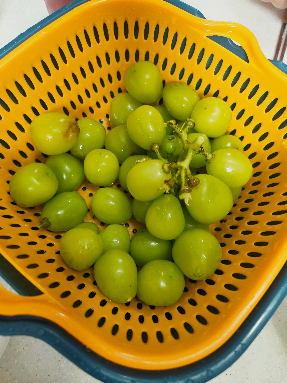 부모님이 보내주신 샤인머스켓 ㅎㅎㅎ