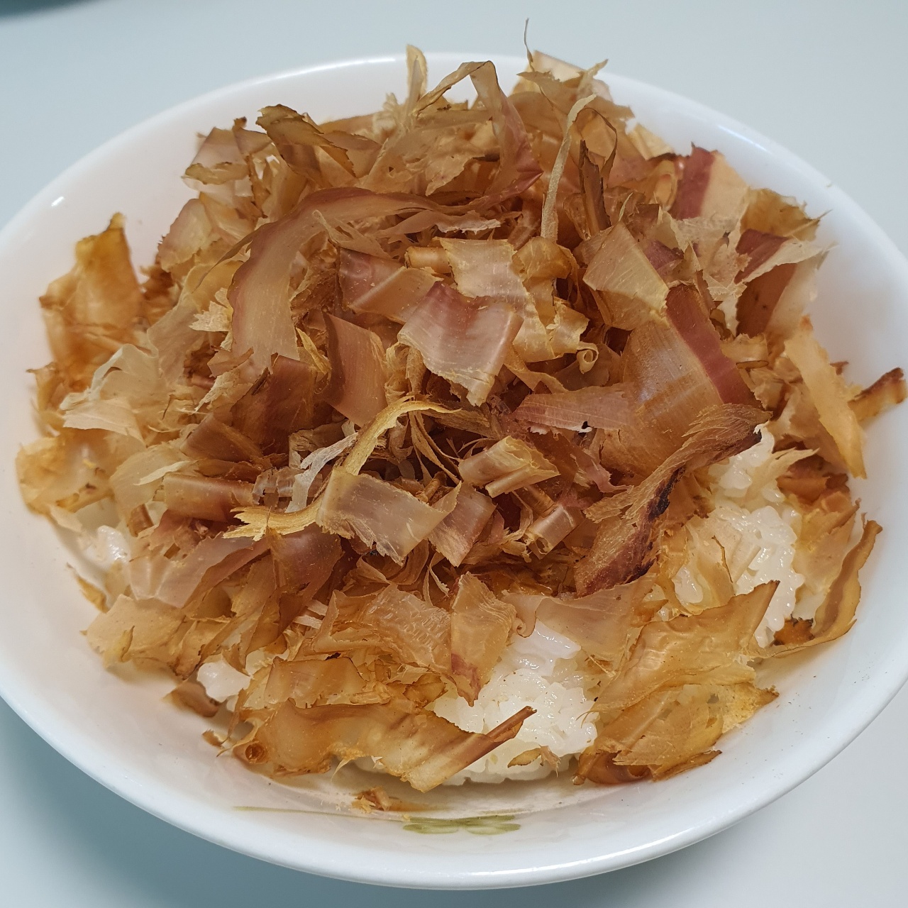 고양이 밥