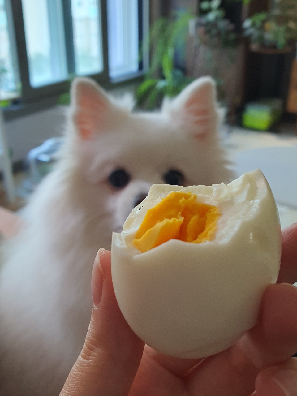 아련....☆