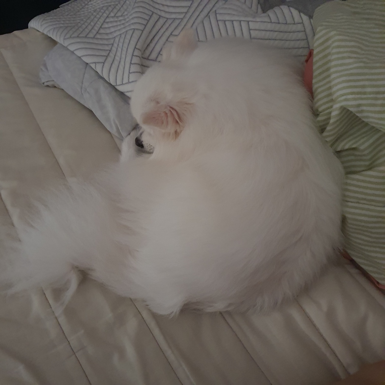 동그라미
