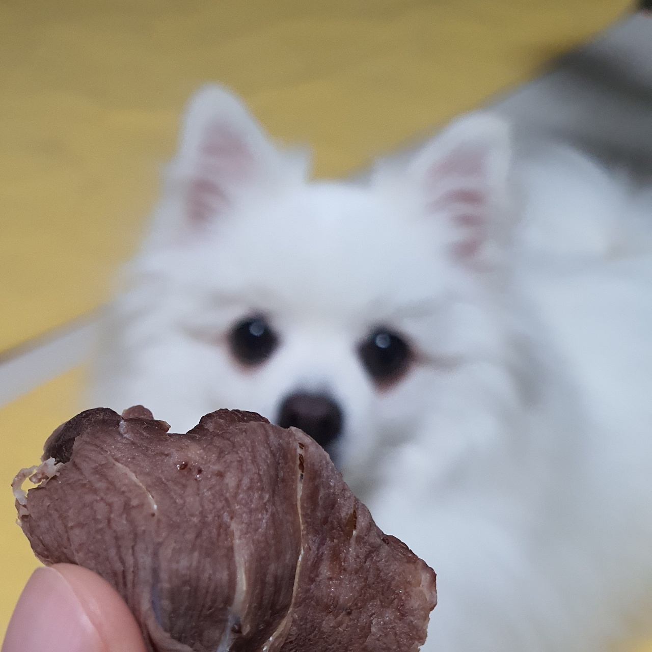 최애간식은..