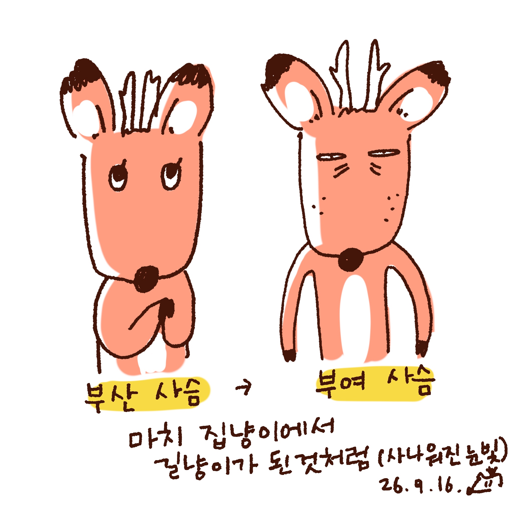 스트릿 사슴으로 변신 중 
