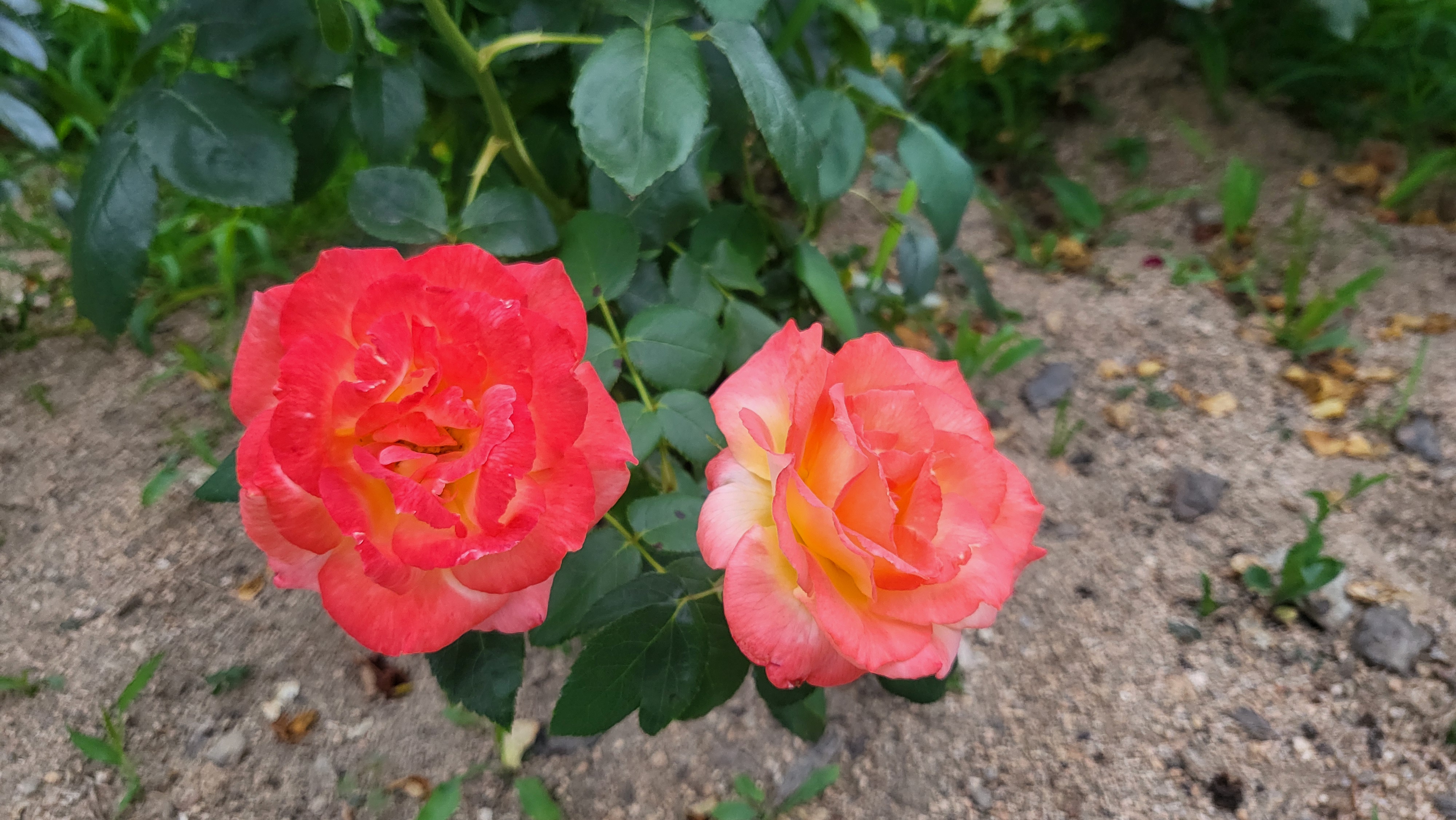 첨부파일
