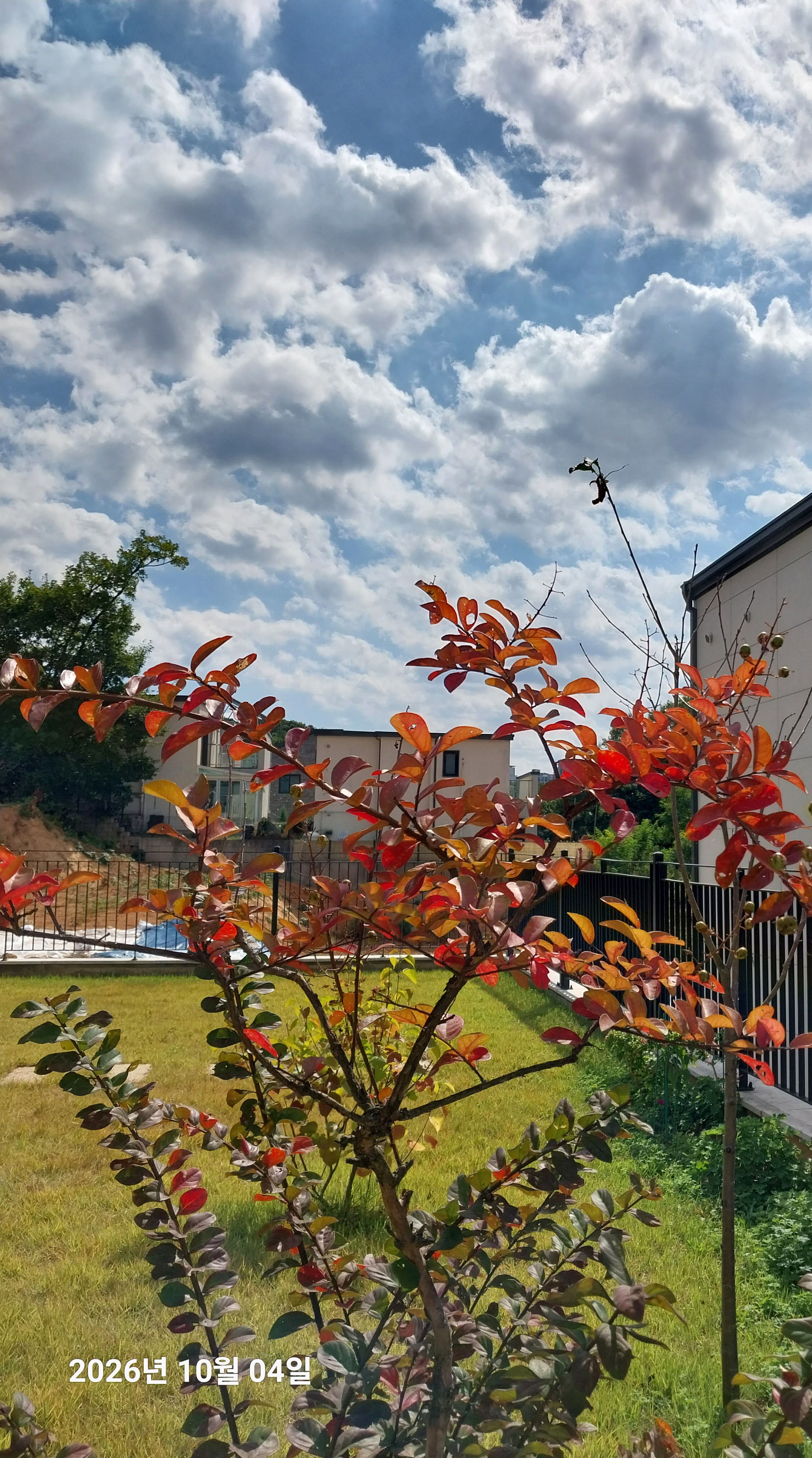 🍂 가을