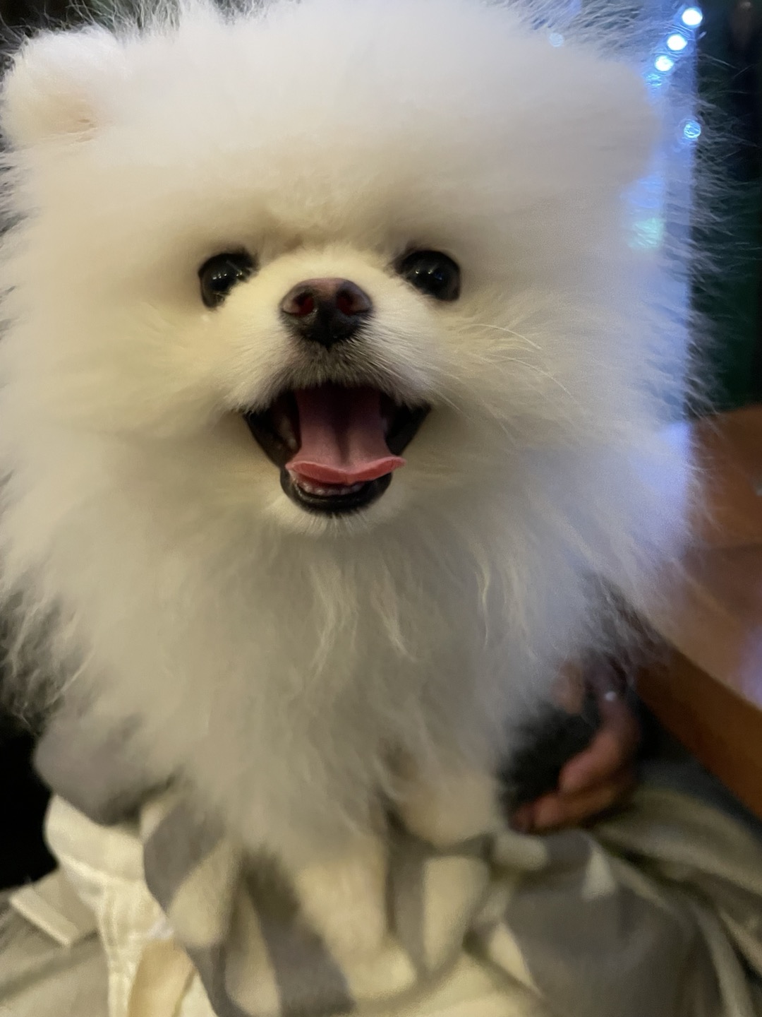 첨부파일