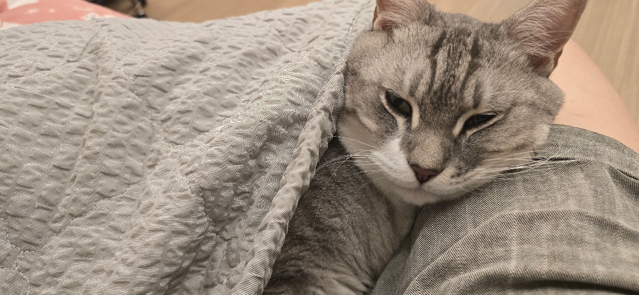 이불 밖은 위험해~^^