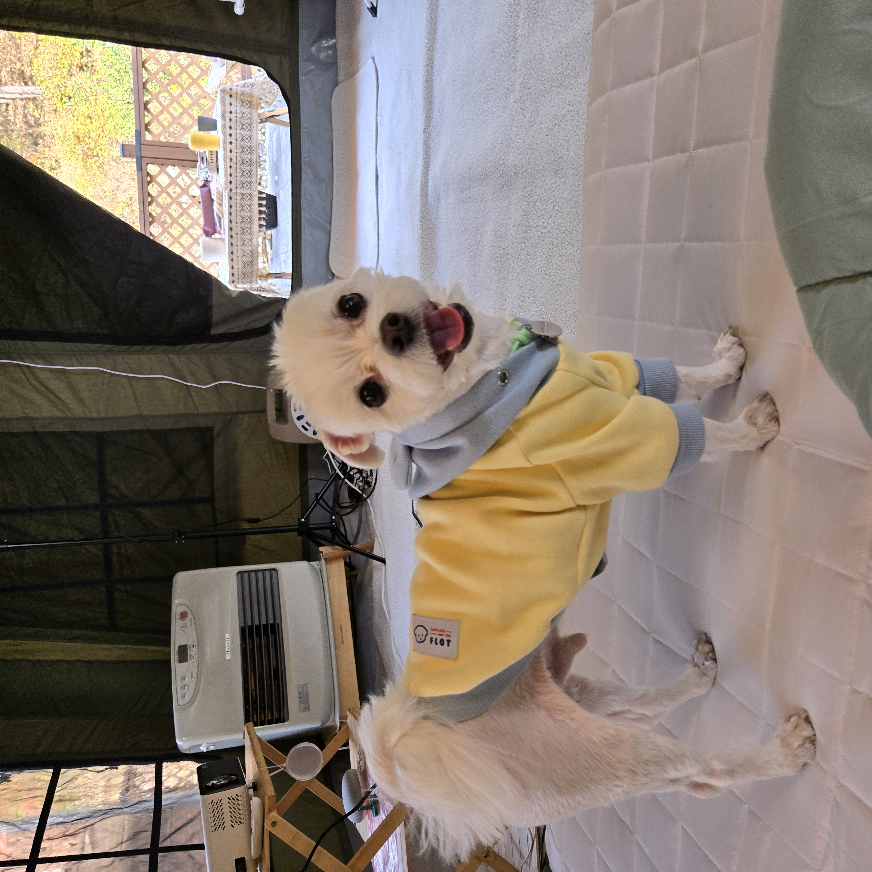 첨부파일