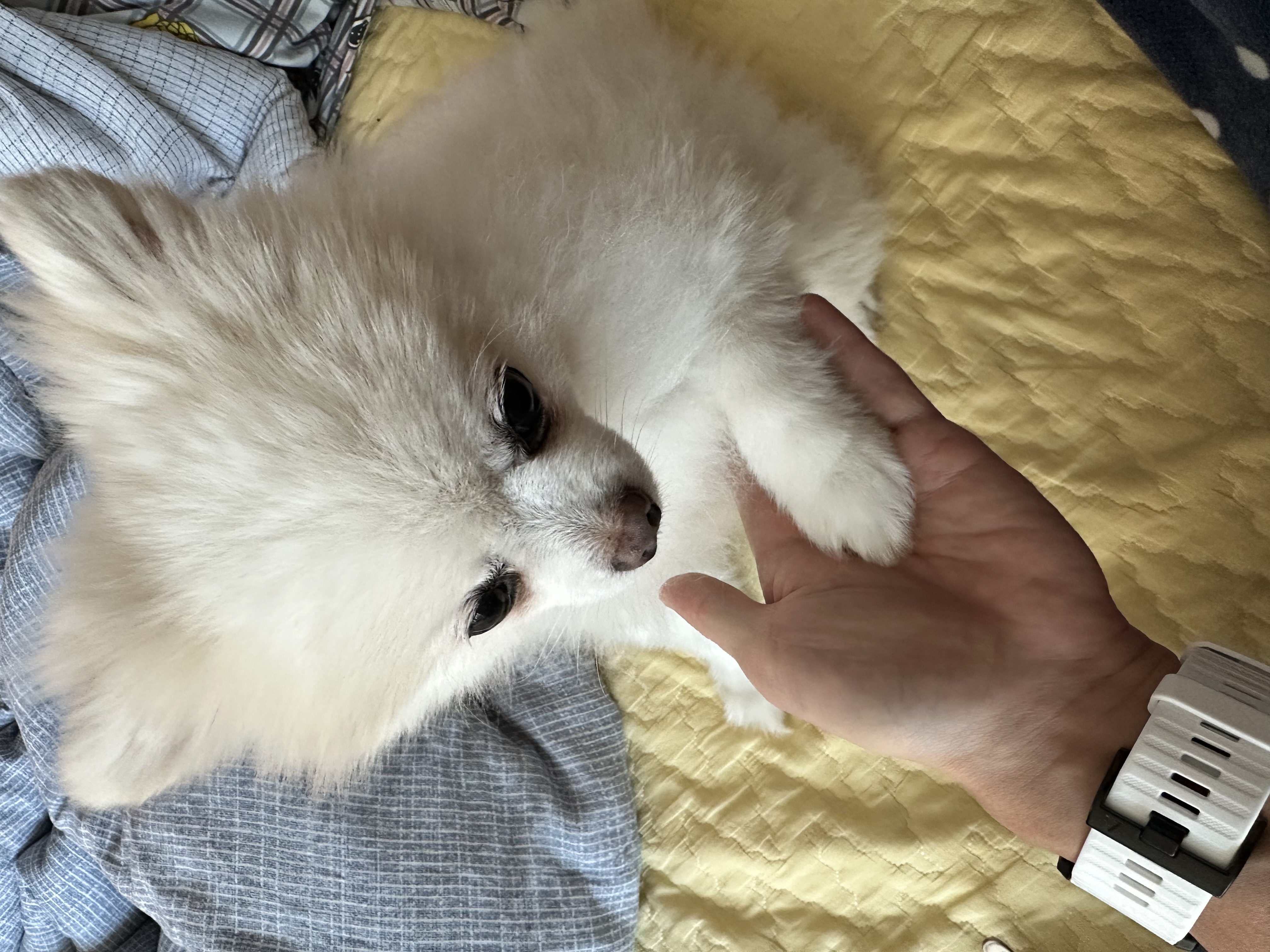 첨부파일