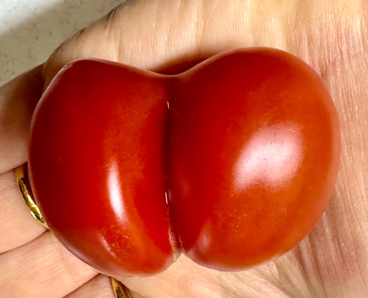 하트토마토 ❤️