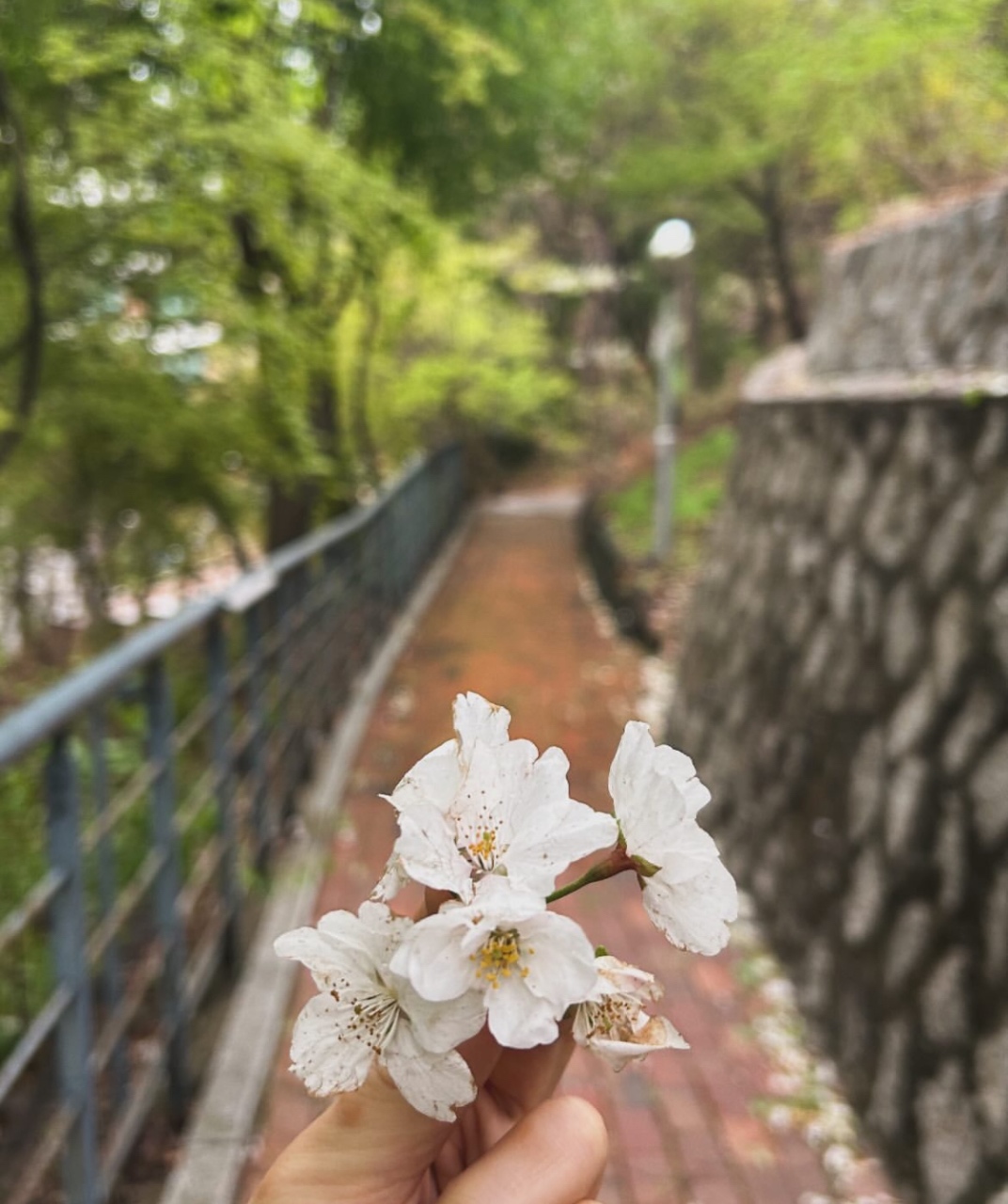 용케 살아있었네요