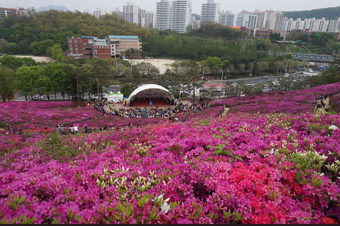 철쭉 동산