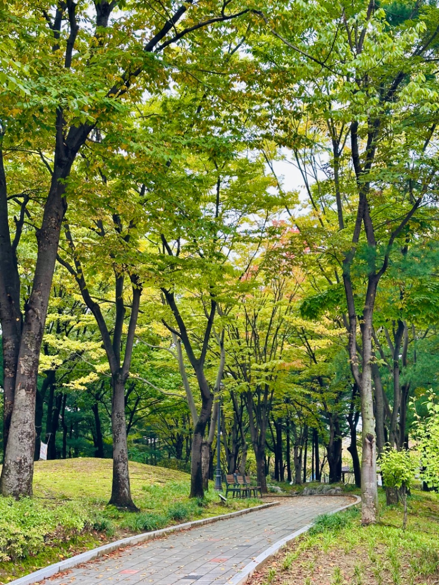 비온뒤 산책길, 모닝커피