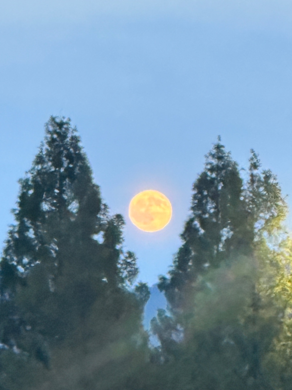 추석 다음날 달 🌕