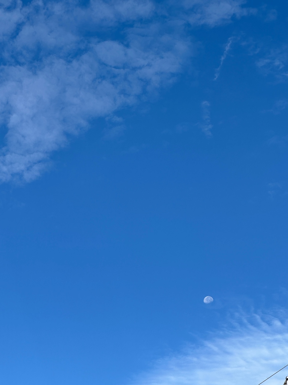 가을 하늘 달🌕