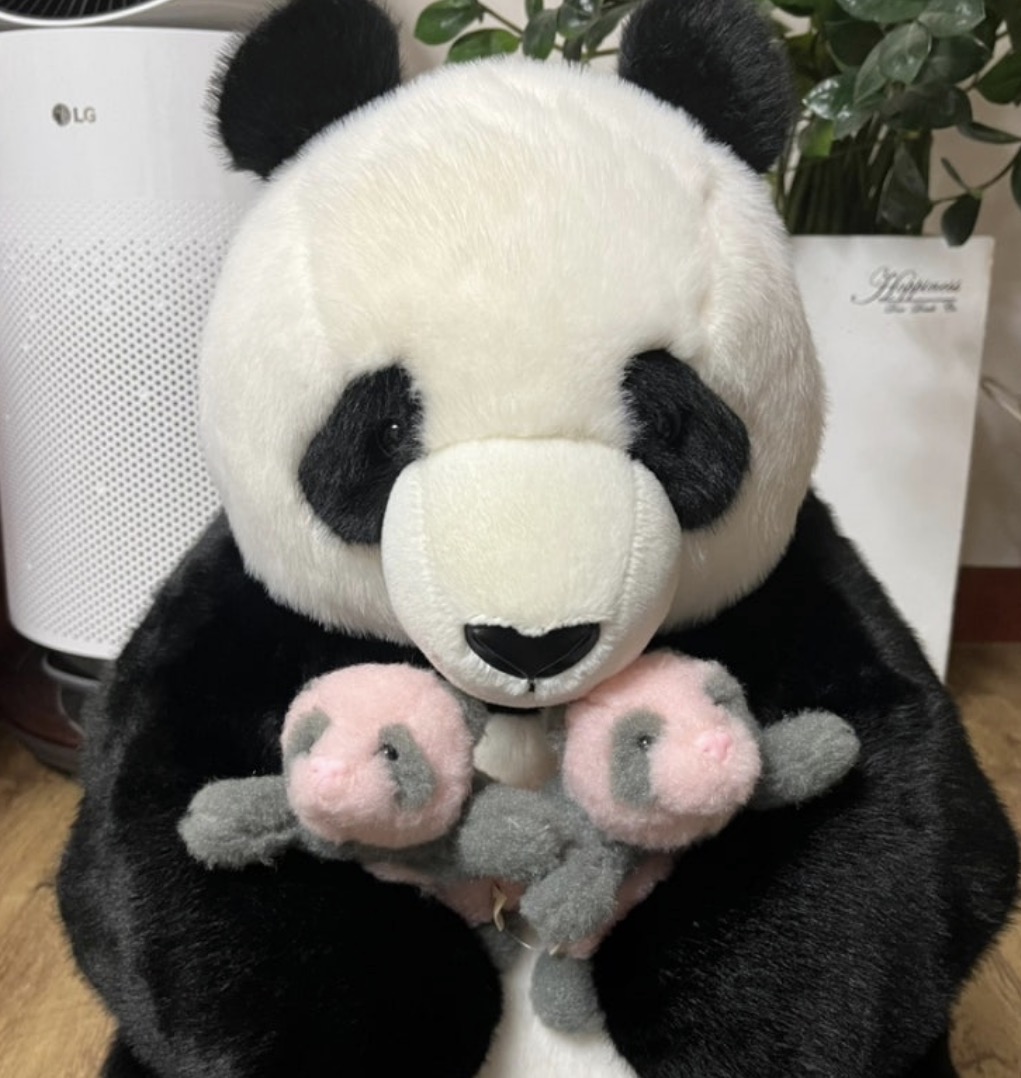 쌍둥이네 보고가세요~🐼