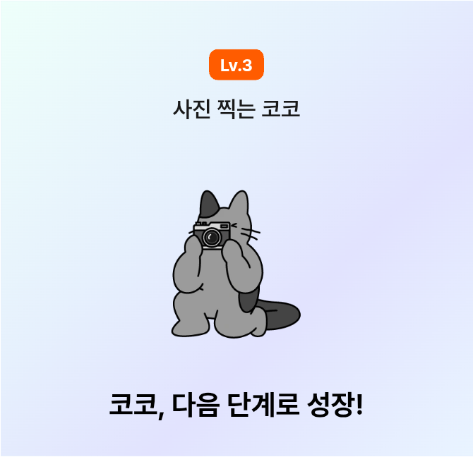 레벨 3 코코 😺🩶