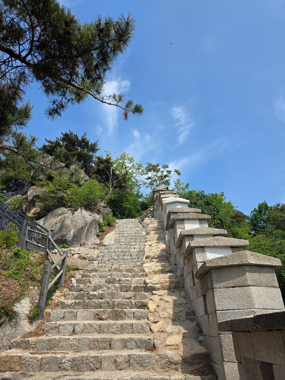 산속 돌계단과 소나무, 하늘