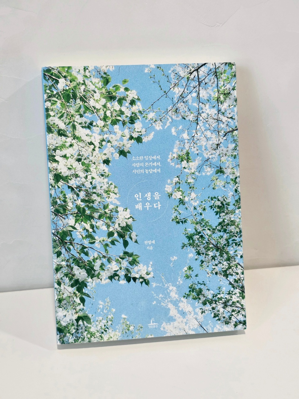 몹시 애정하는 책 📖