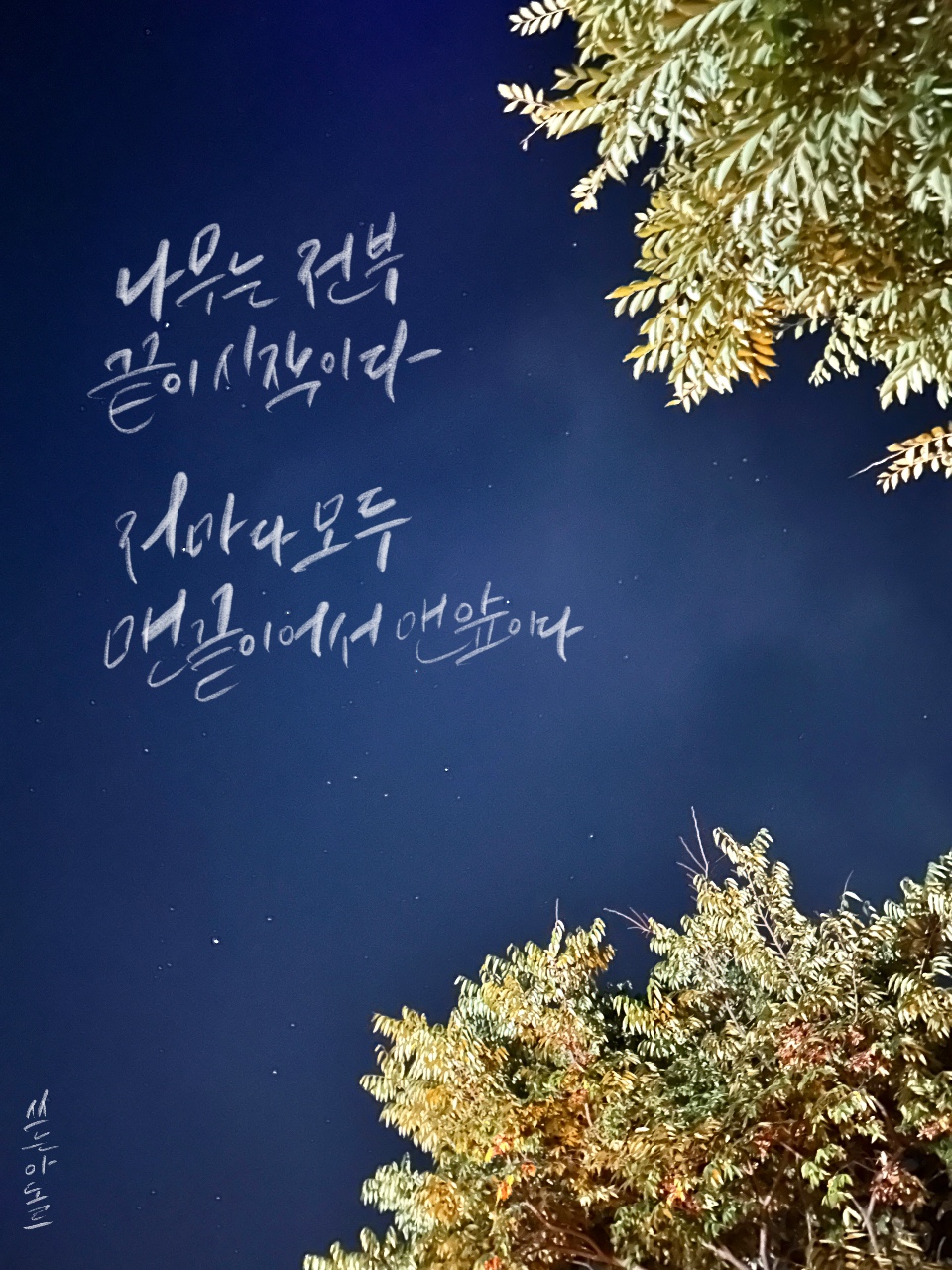 어쩌면 여기가 바닥이 아닐까, 싶을때 읽었던 시