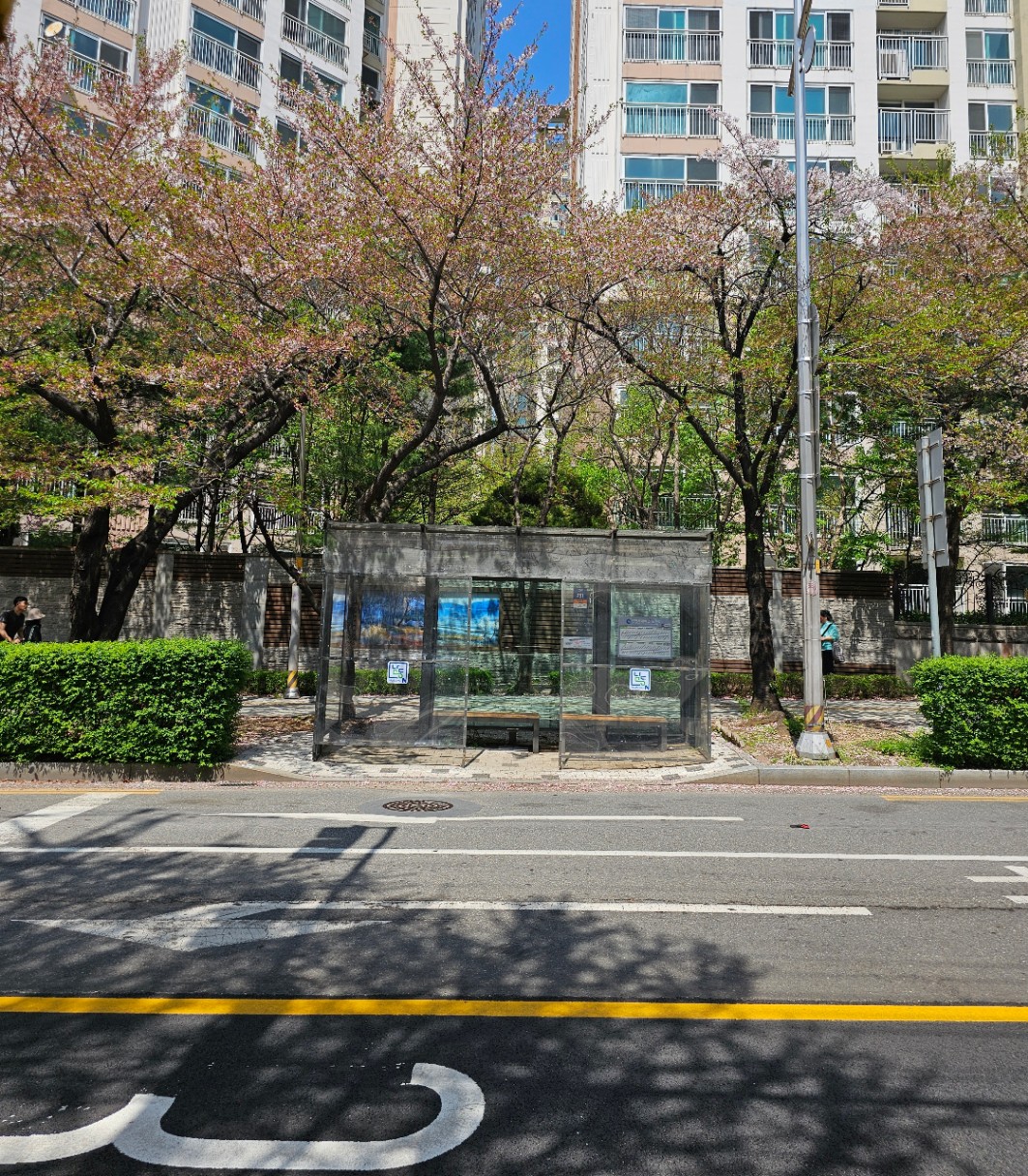 아파트 단지 앞 가로수와 버스정류장