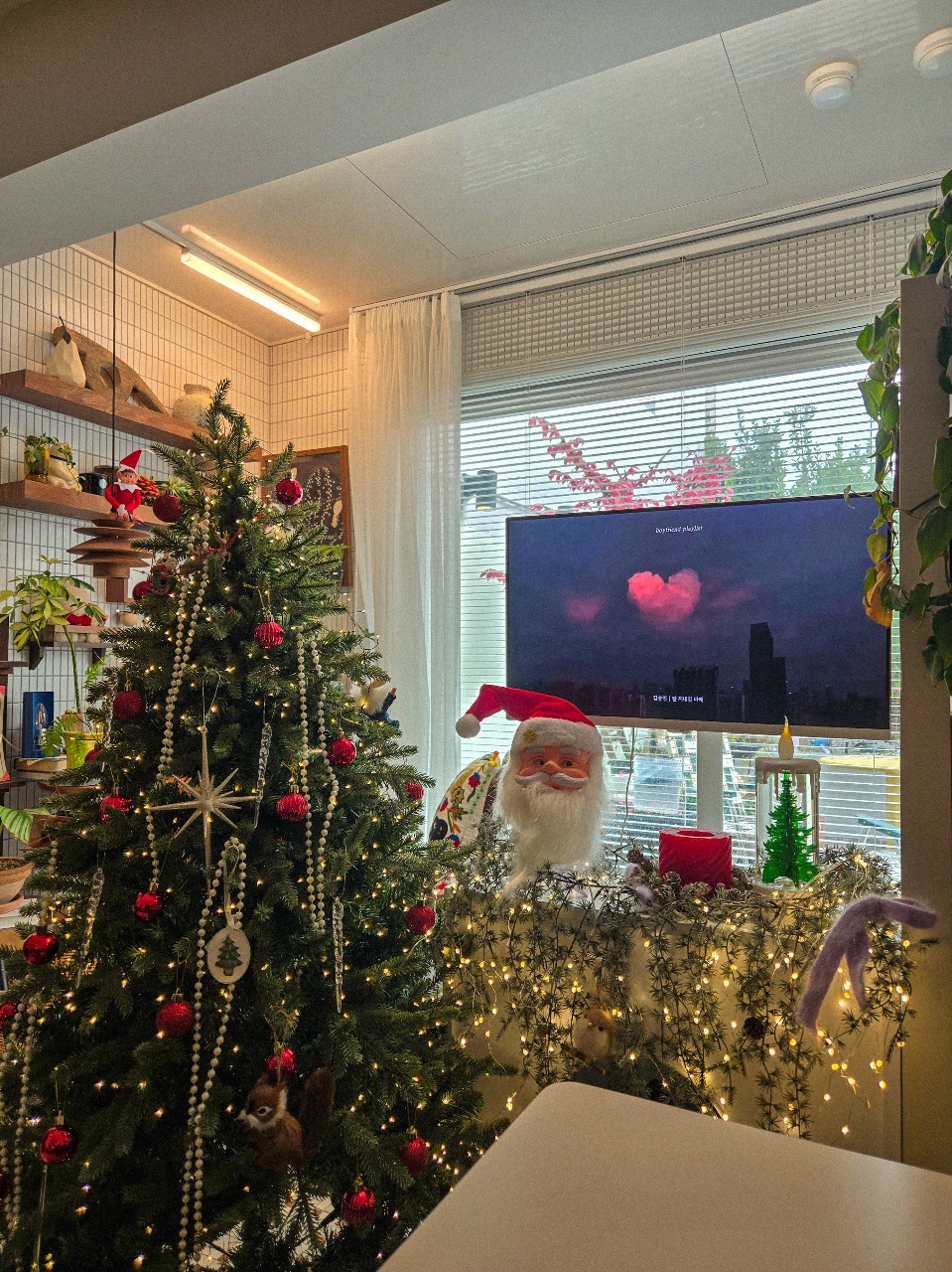 트리완성🎄✨️