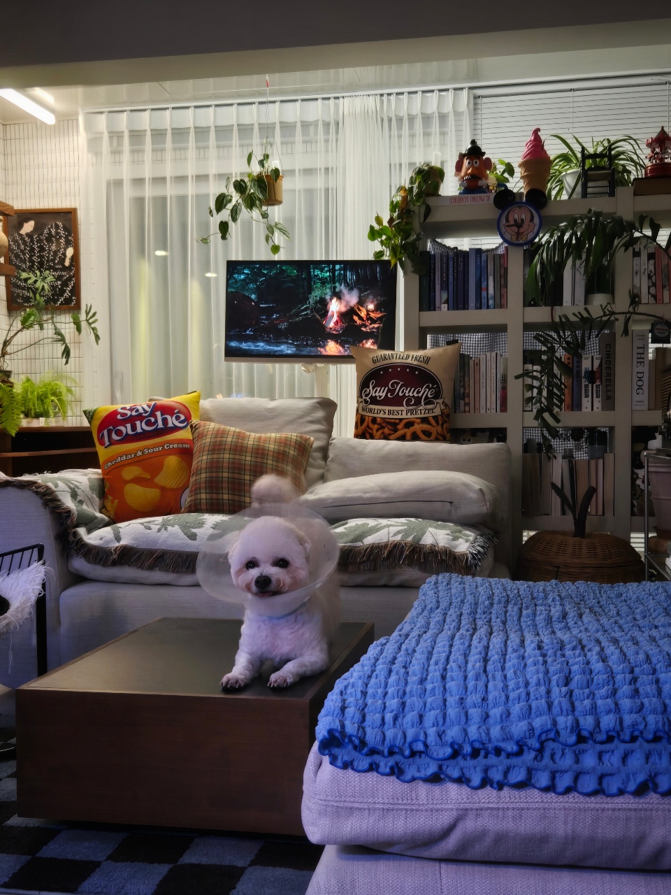 개딸🐶