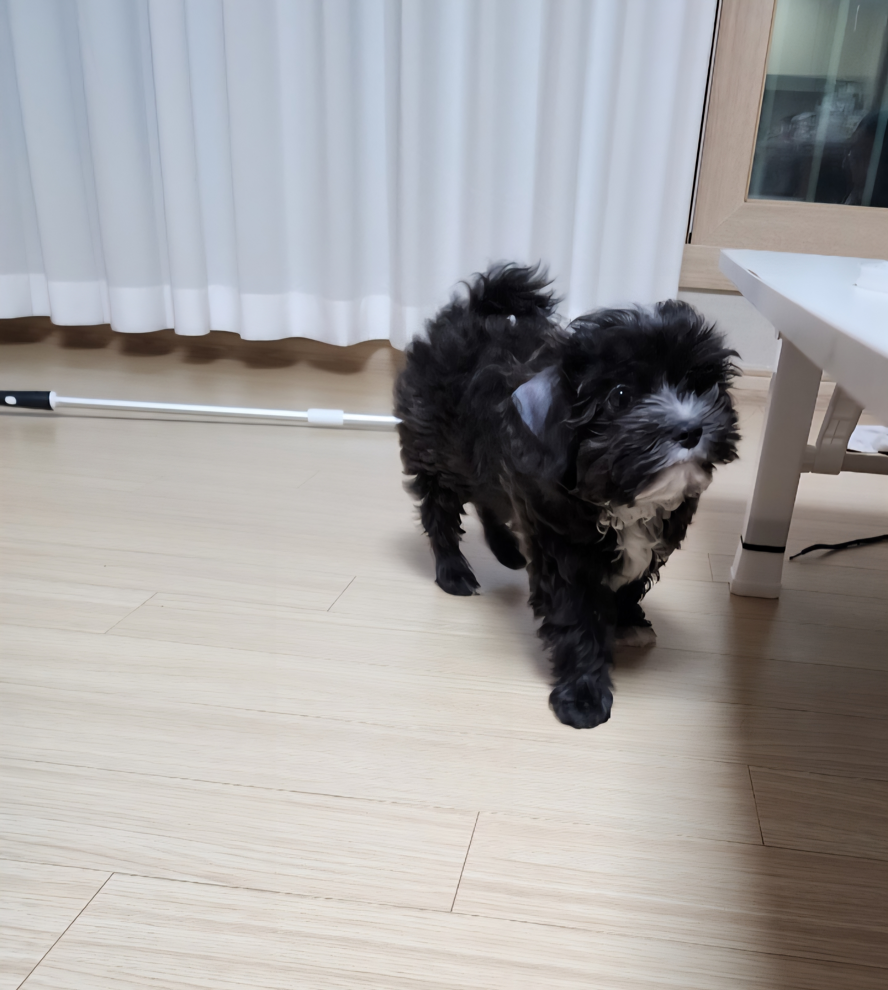 첨부파일