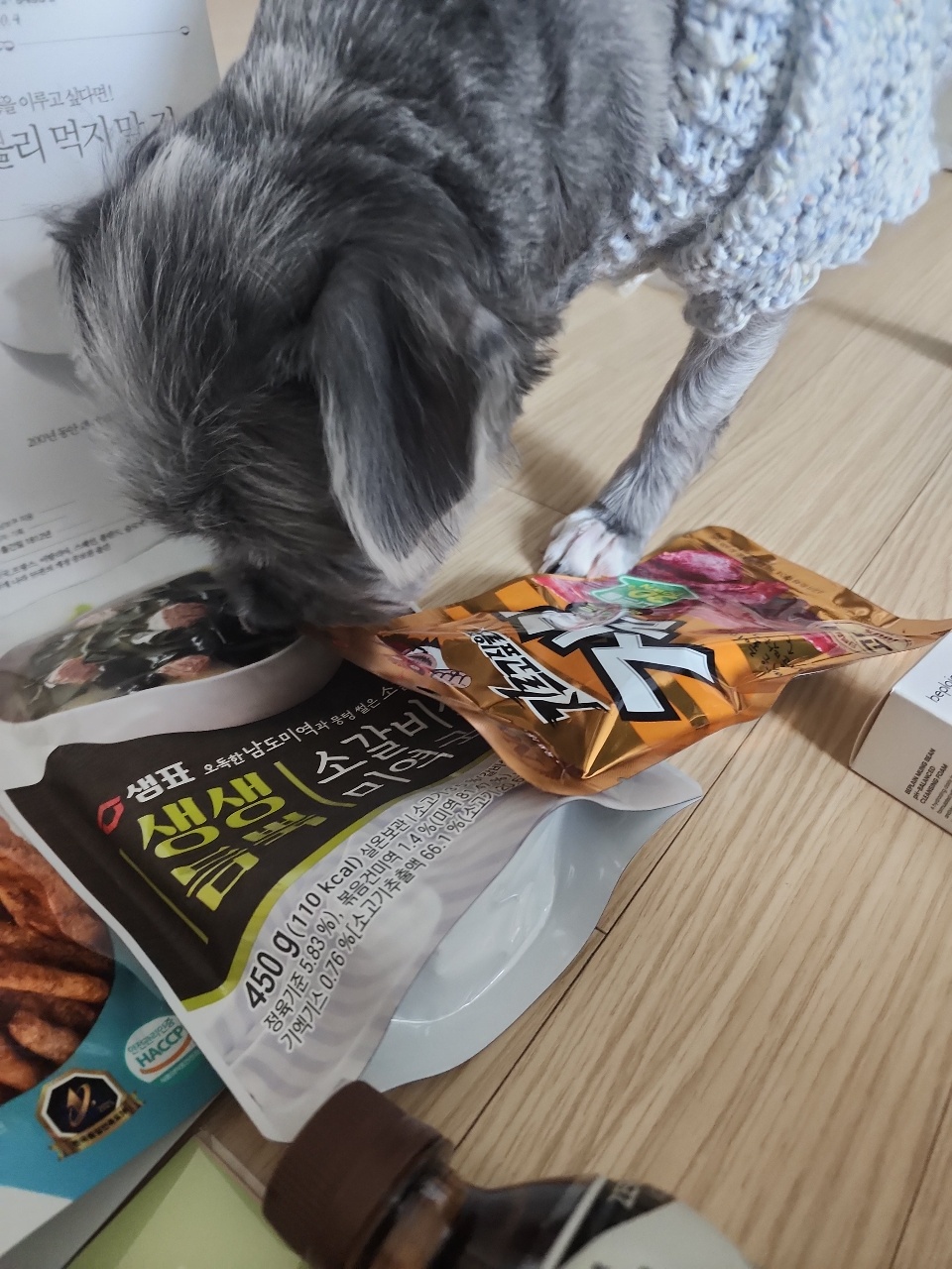 마루 위에 놓인 간식 봉지를 살펴보는 회색 고양이