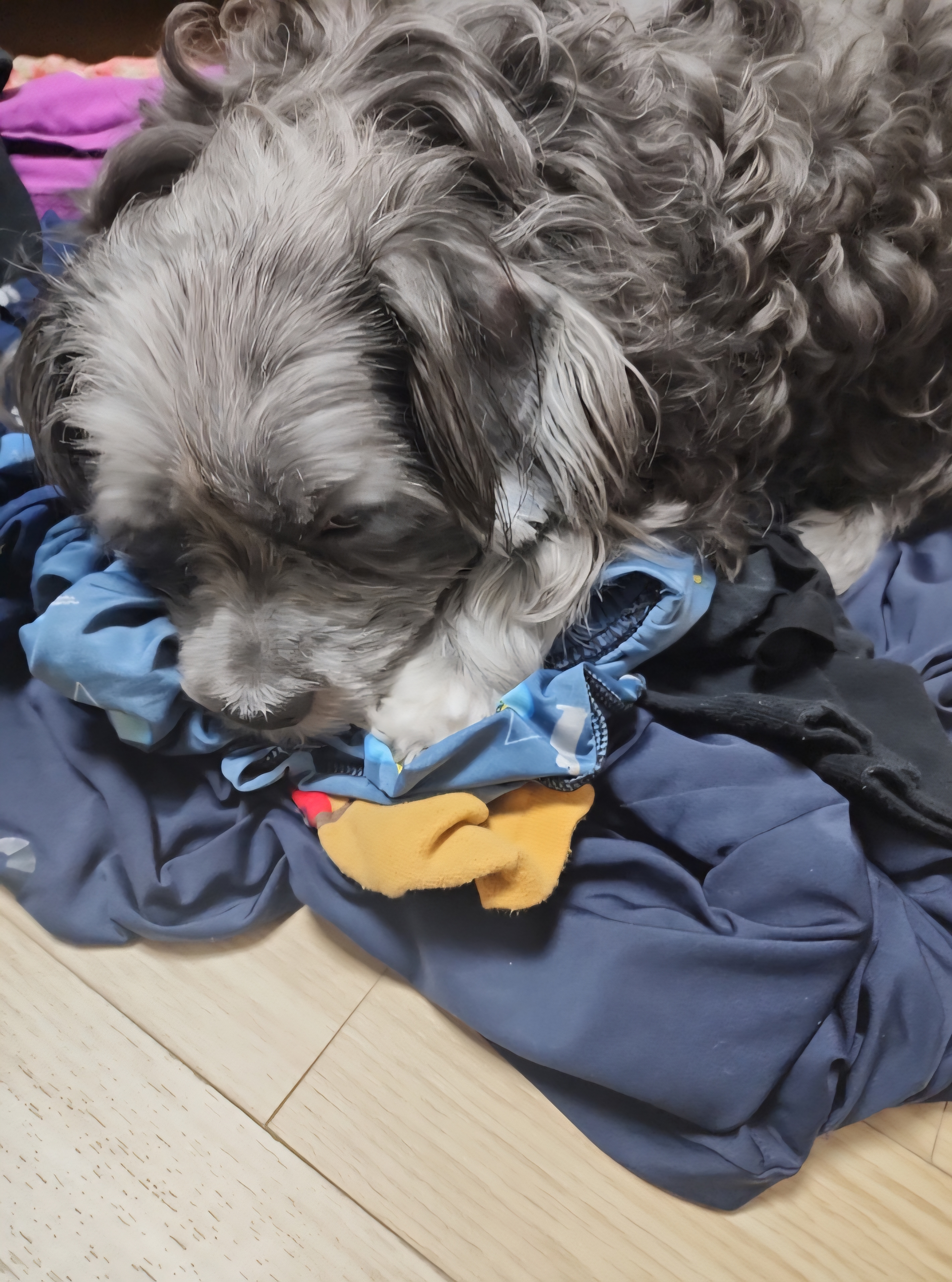 첨부파일