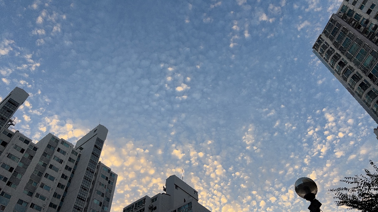 방울솜 하늘~~🌫️☁️