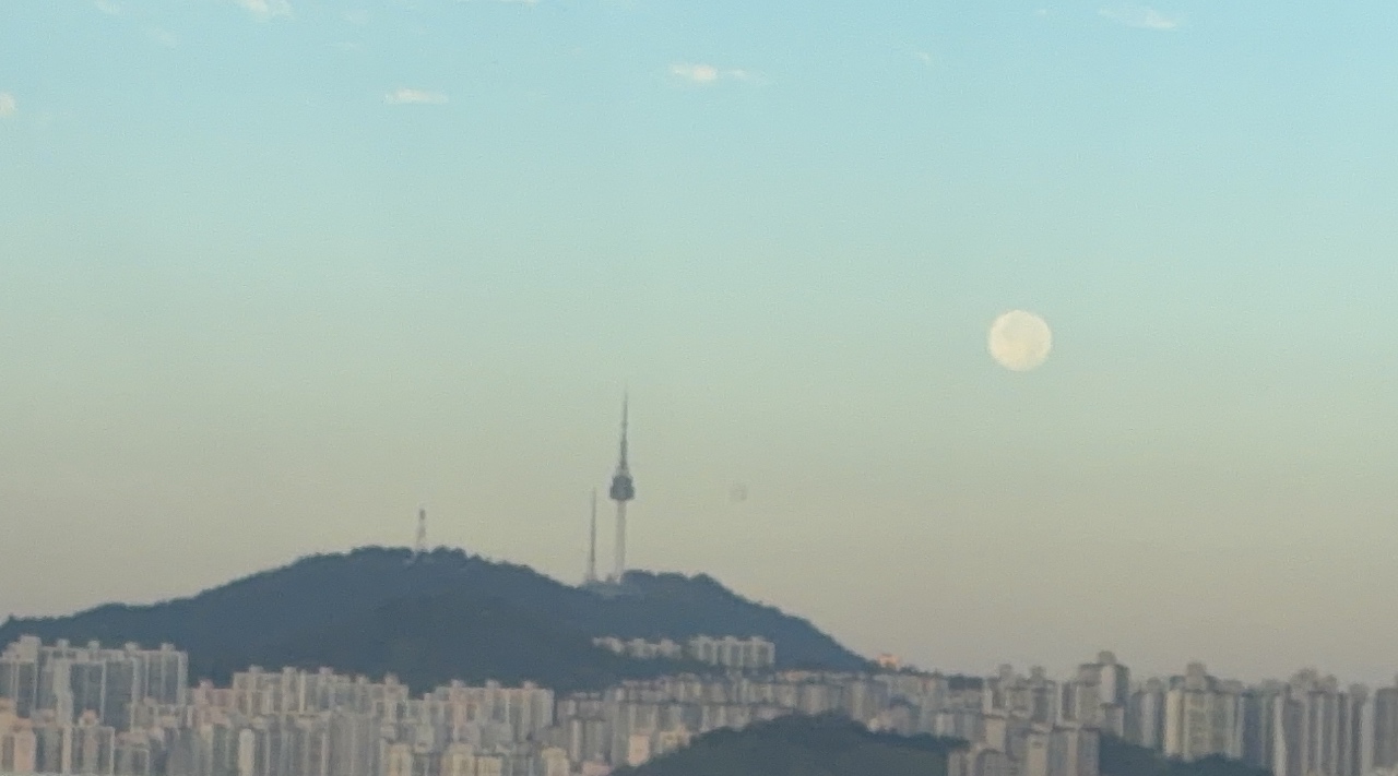 아침이라 볼 수 있는 것(?) ㅎㅎㅎ🌕