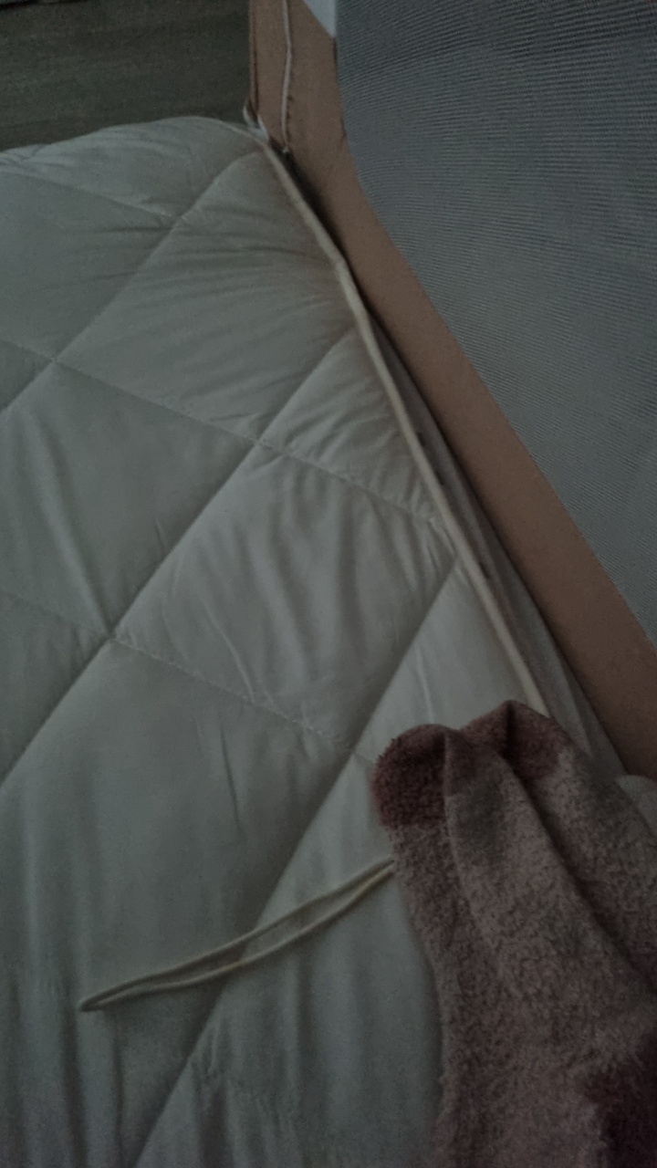 분명히 여기다가 텄는데