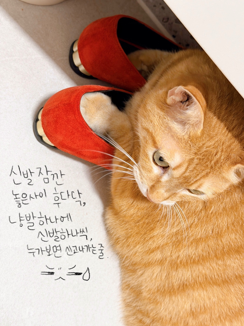 우리는 집에서 신데렐라 놀이를 할 수 있지.