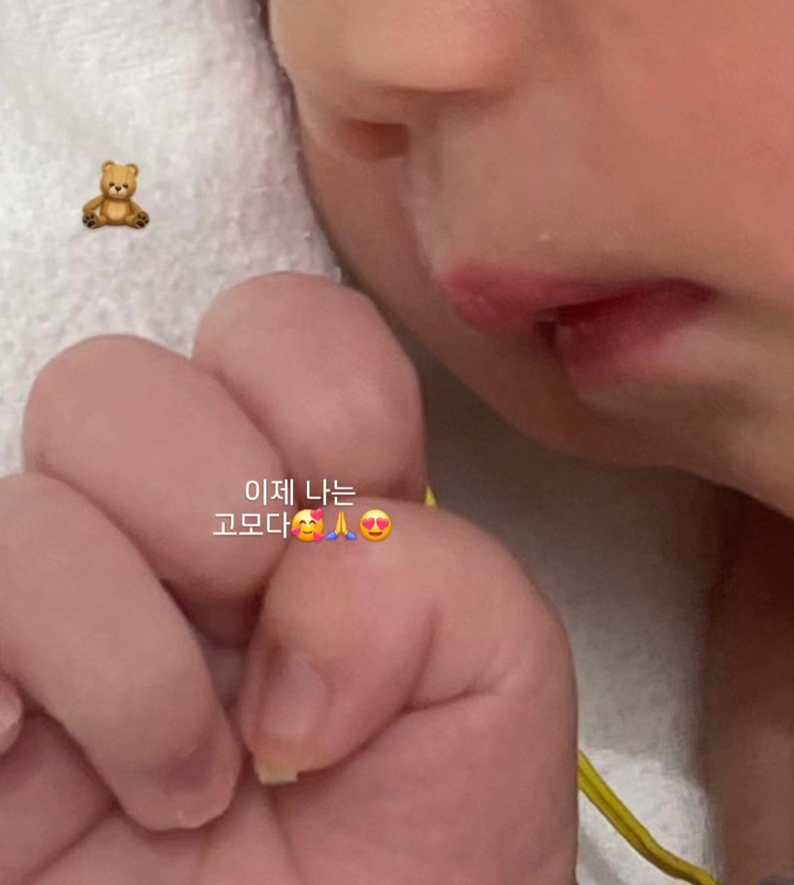 고모가 된 날!