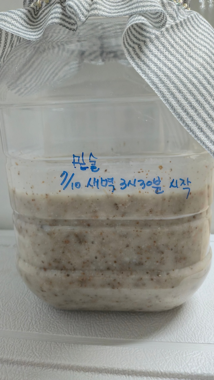 복숭아삼양주(약주) 시작!