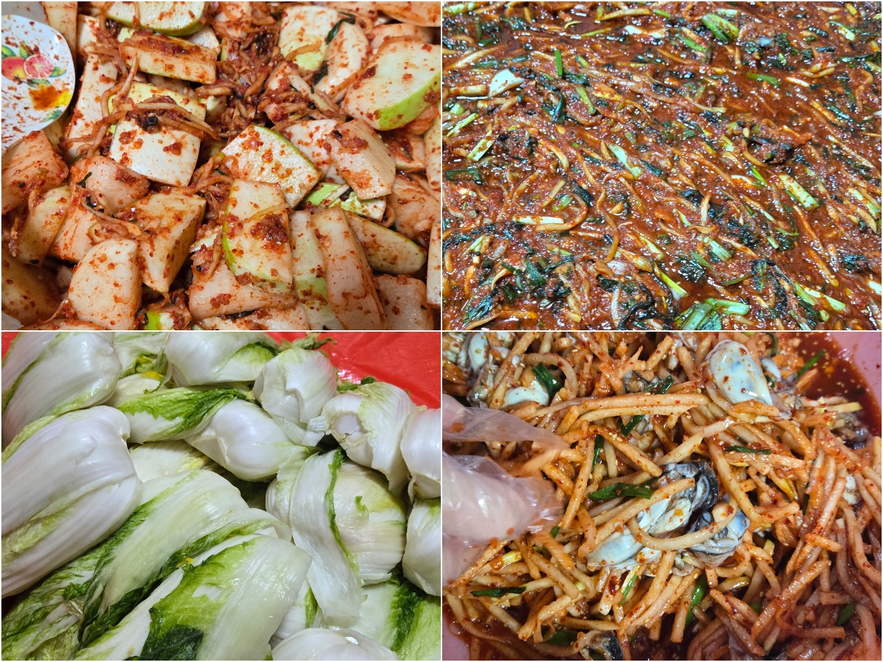 올해의 김장