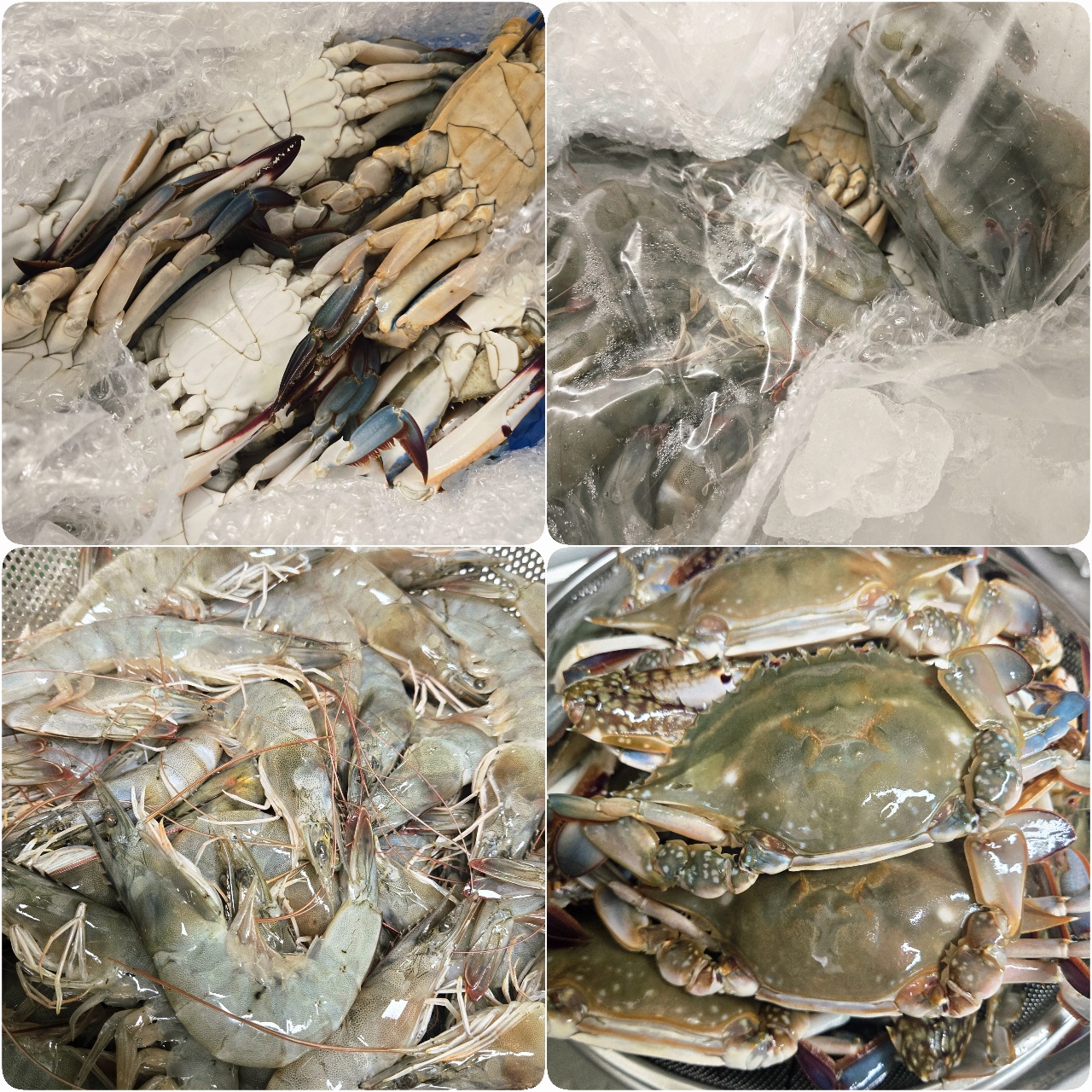 제철 대하와 꽃게잔치