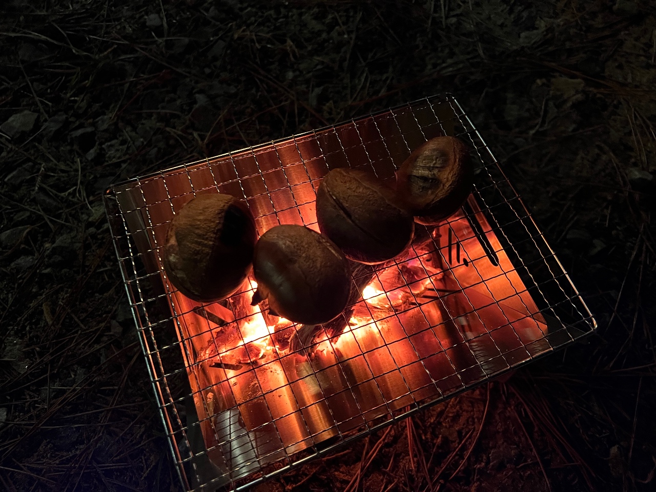 겨울간식 군밤🌰