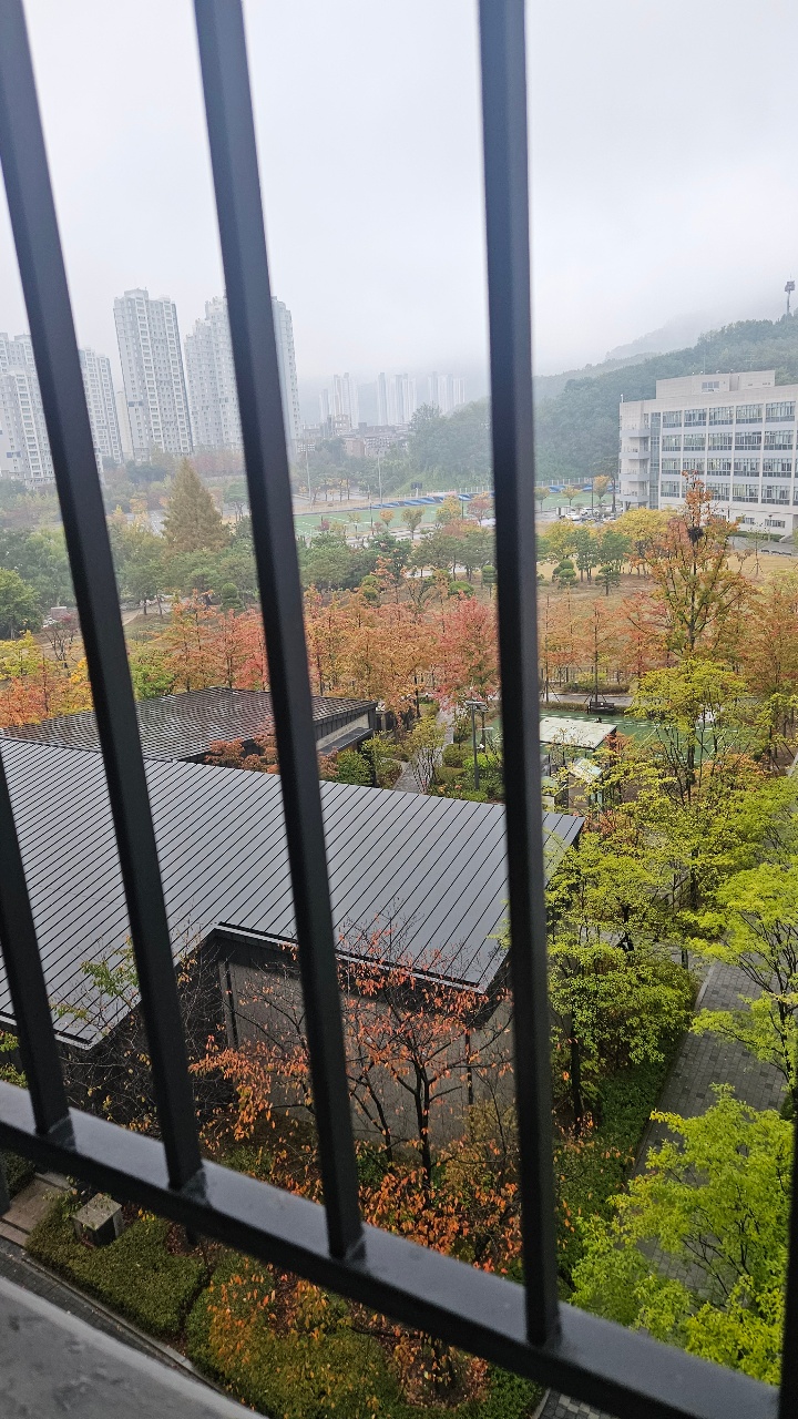 베란다 뷰로 단풍구경🍁