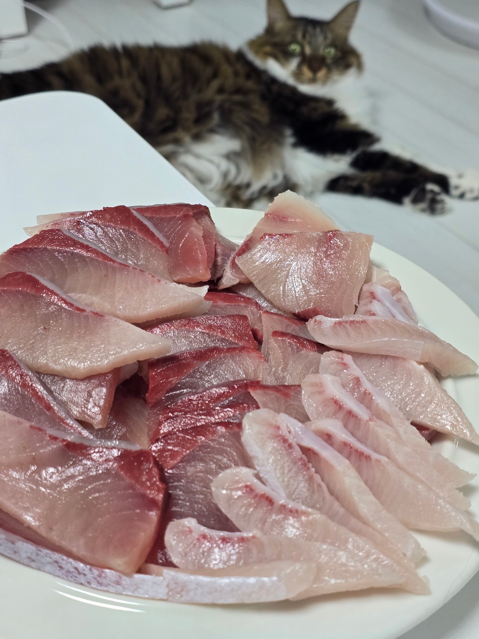 방어필렛 썰어서 냠냠🐟