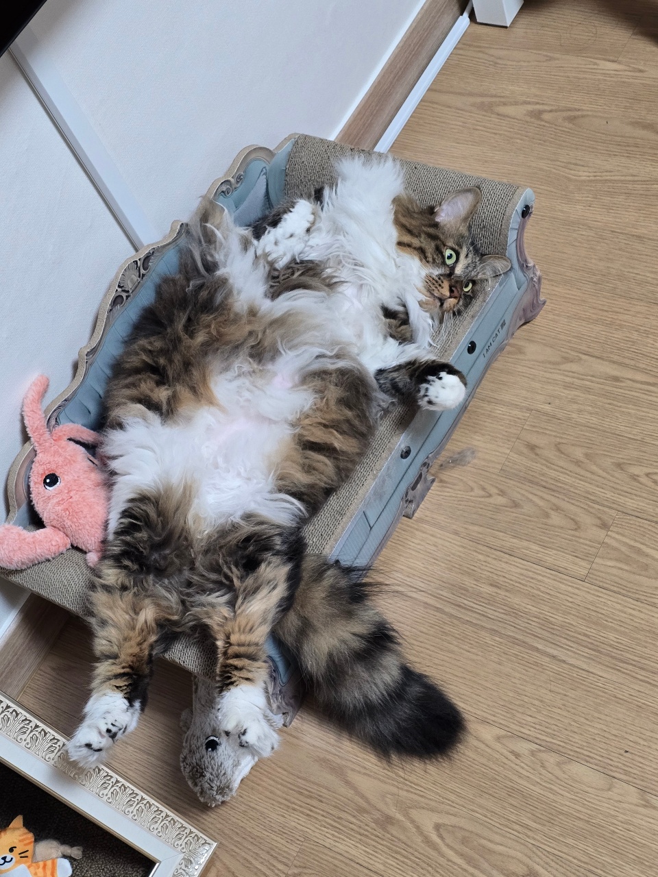 아무데나 벌러덩벌러덩
