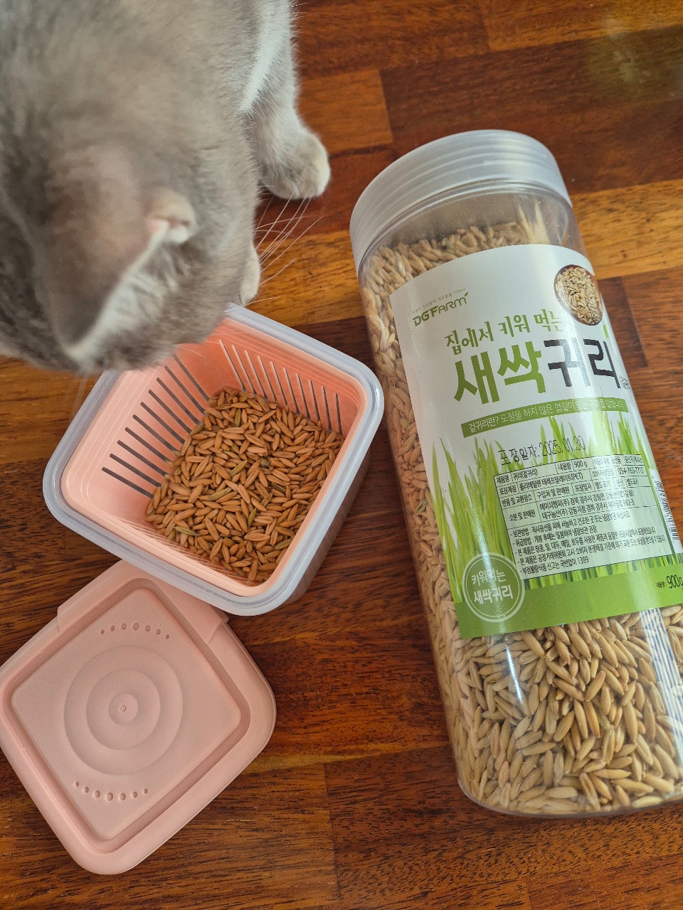 씨앗을 심었습니다:)