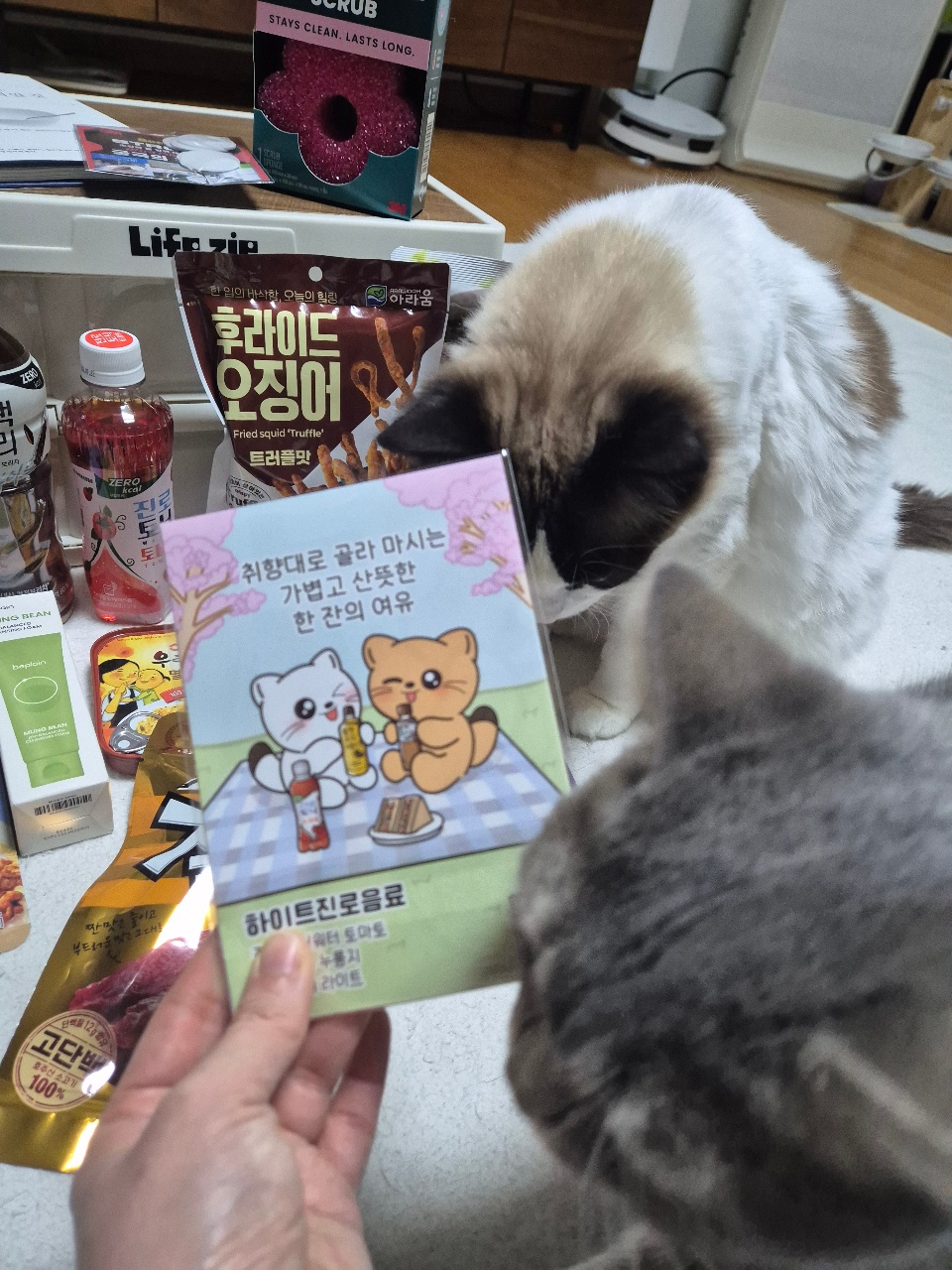 식탁에 놓인 책과 간식을 보는 고양이