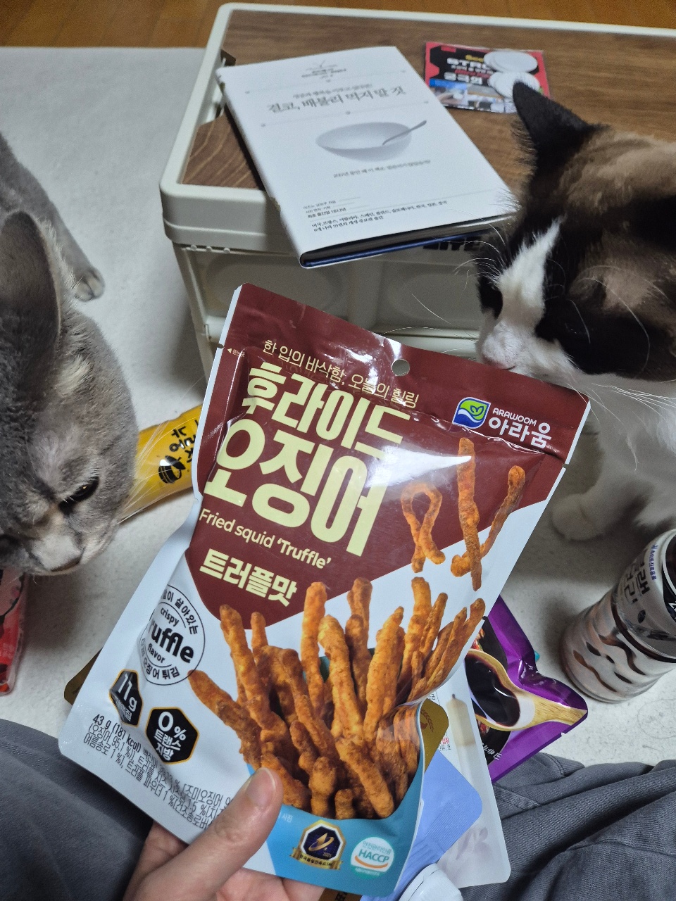 고양이 옆에서 오징어 스낵 과자를 들고 있는 모습